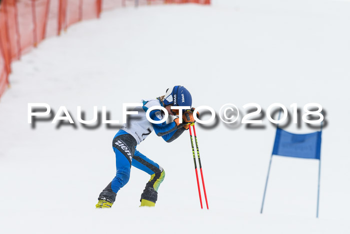 3. BZB CUP RS 2018