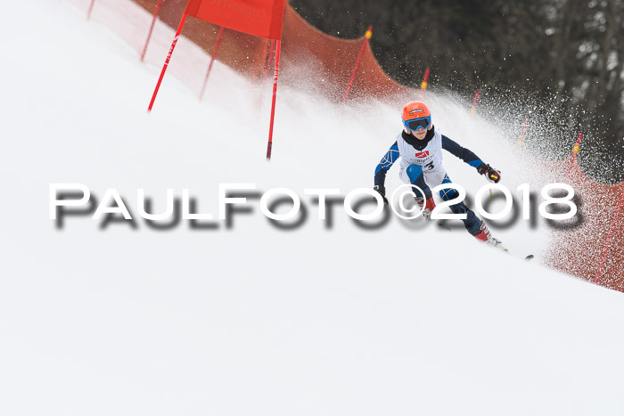 3. BZB CUP RS 2018