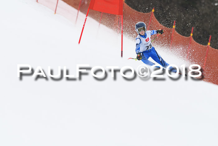 3. BZB CUP RS 2018