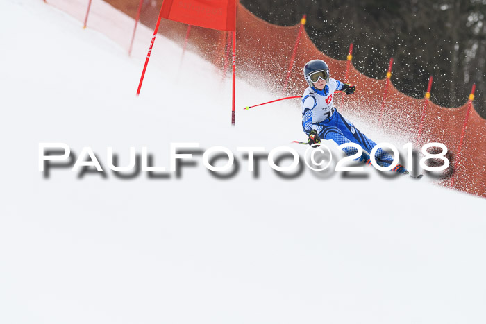 3. BZB CUP RS 2018