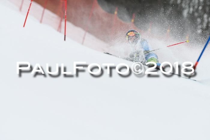 3. BZB CUP RS 2018