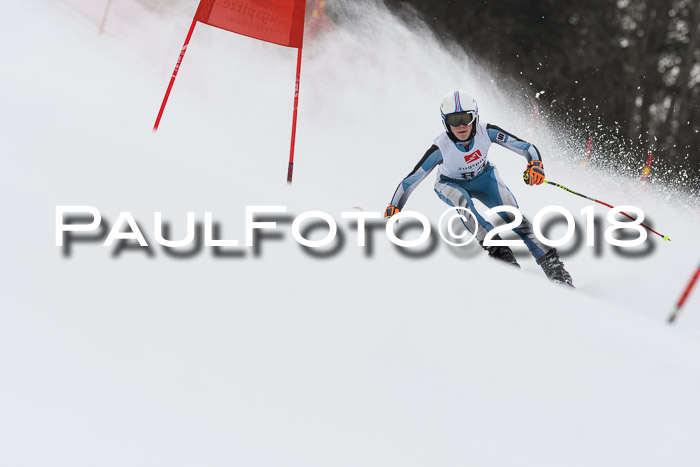 3. BZB CUP RS 2018