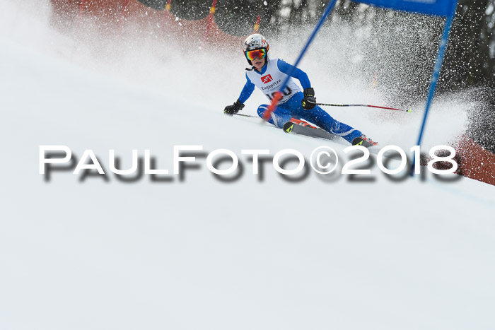3. BZB CUP RS 2018