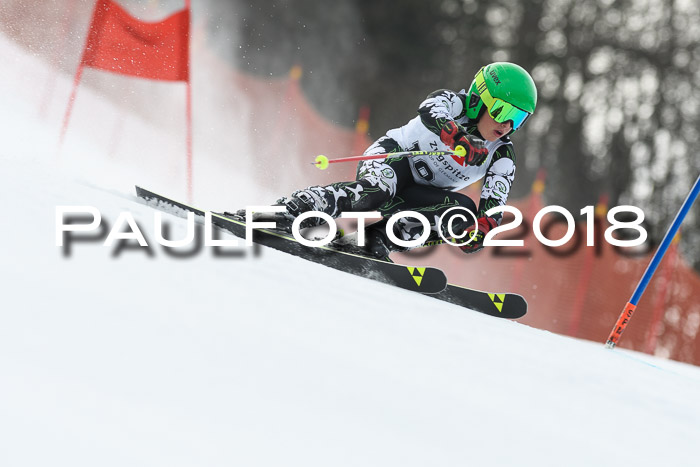 3. BZB CUP RS 2018
