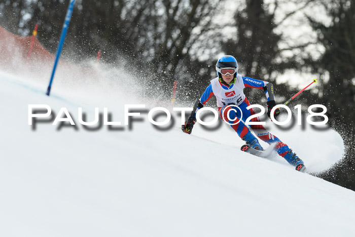 3. BZB CUP RS 2018