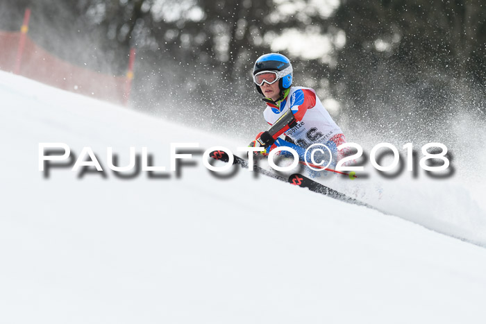 3. BZB CUP RS 2018