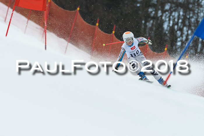 3. BZB CUP RS 2018