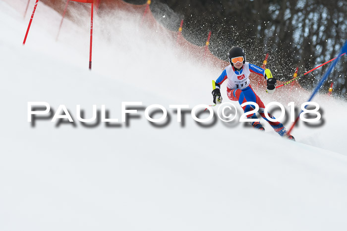 3. BZB CUP RS 2018