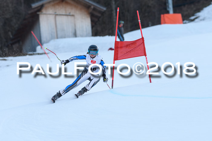 3. BZB CUP RS 2018