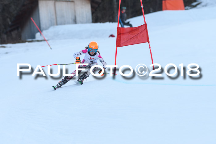 3. BZB CUP RS 2018