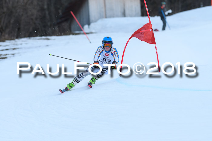 3. BZB CUP RS 2018