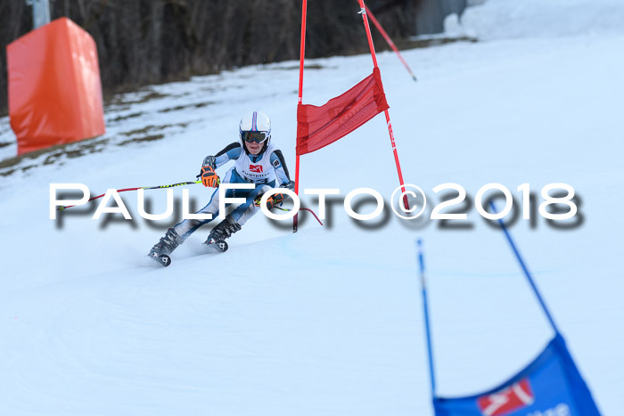 3. BZB CUP RS 2018