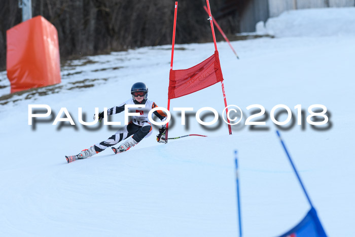 3. BZB CUP RS 2018