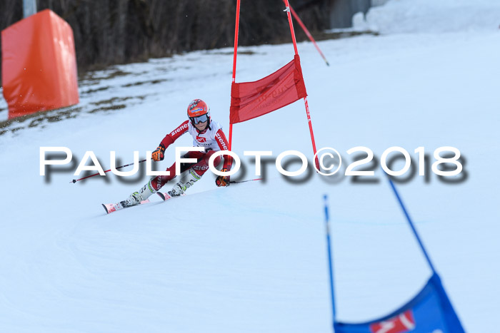 3. BZB CUP RS 2018