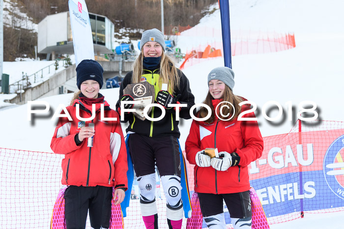 3. BZB CUP RS 2018