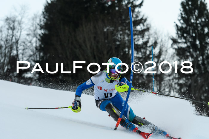 FIS NJC Alpine Kombi Damen + Herren 13.01.2018