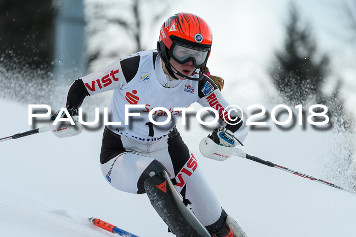 FIS NJC Alpine Kombi Damen + Herren 13.01.2018