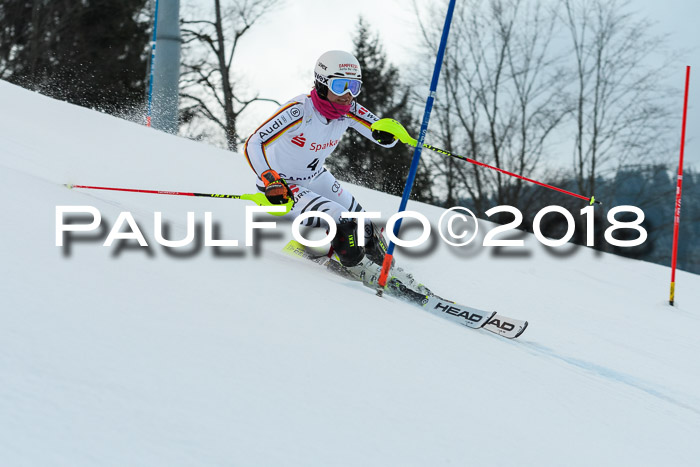 FIS NJC Alpine Kombi Damen + Herren 13.01.2018