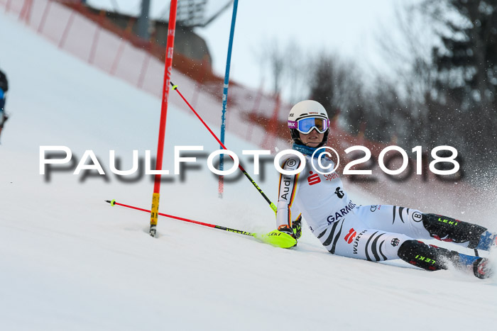 FIS NJC Alpine Kombi Damen + Herren 13.01.2018