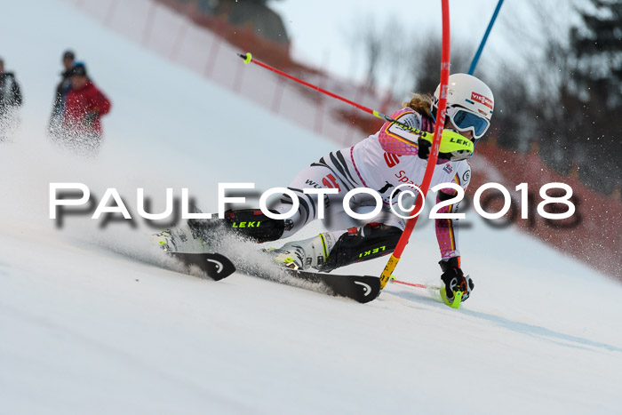 FIS NJC Alpine Kombi Damen + Herren 13.01.2018