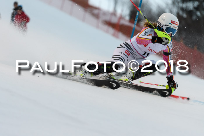 FIS NJC Alpine Kombi Damen + Herren 13.01.2018