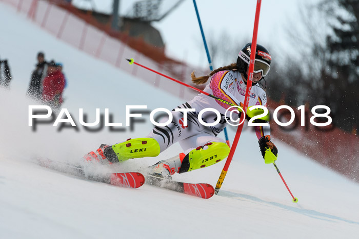 FIS NJC Alpine Kombi Damen + Herren 13.01.2018