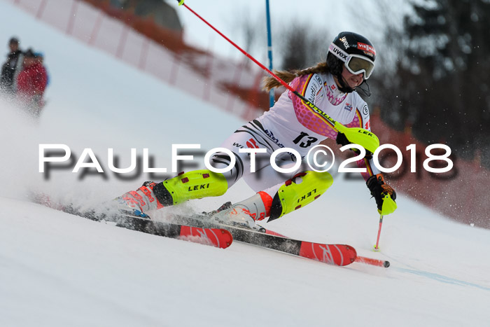 FIS NJC Alpine Kombi Damen + Herren 13.01.2018