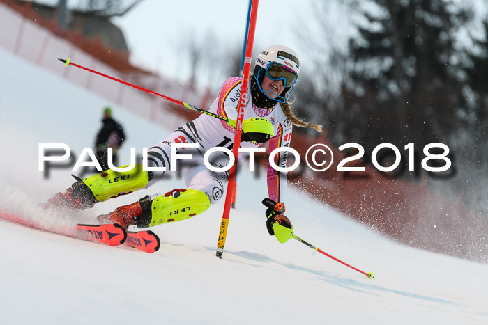 FIS NJC Alpine Kombi Damen + Herren 13.01.2018