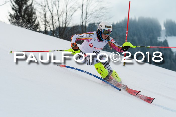 FIS NJC Alpine Kombi Damen + Herren 13.01.2018