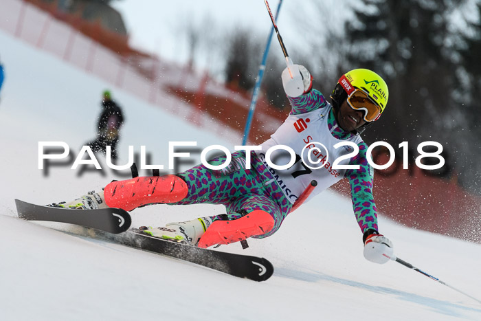 FIS NJC Alpine Kombi Damen + Herren 13.01.2018