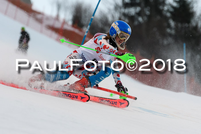 FIS NJC Alpine Kombi Damen + Herren 13.01.2018