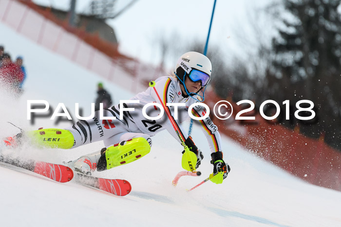 FIS NJC Alpine Kombi Damen + Herren 13.01.2018