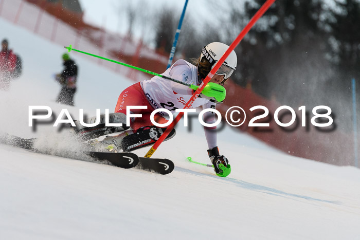 FIS NJC Alpine Kombi Damen + Herren 13.01.2018