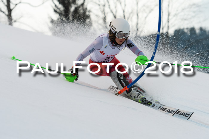 FIS NJC Alpine Kombi Damen + Herren 13.01.2018