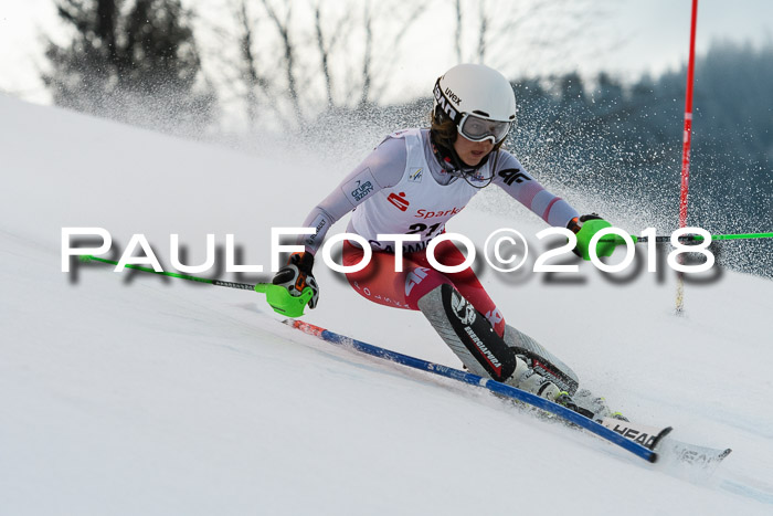 FIS NJC Alpine Kombi Damen + Herren 13.01.2018