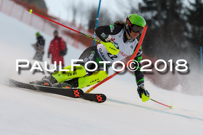 FIS NJC Alpine Kombi Damen + Herren 13.01.2018