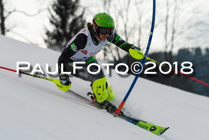 FIS NJC Alpine Kombi Damen + Herren 13.01.2018
