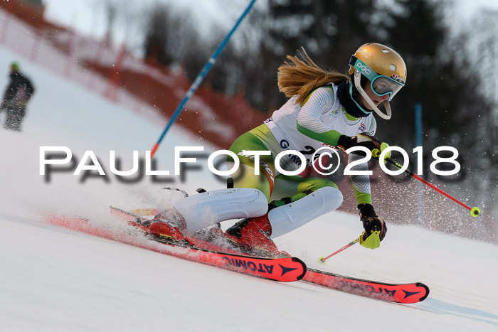 FIS NJC Alpine Kombi Damen + Herren 13.01.2018