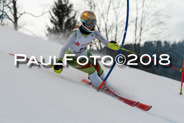 FIS NJC Alpine Kombi Damen + Herren 13.01.2018