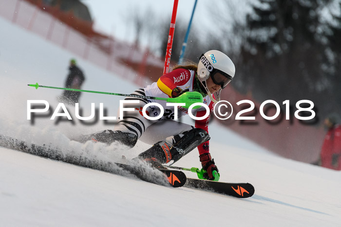 FIS NJC Alpine Kombi Damen + Herren 13.01.2018