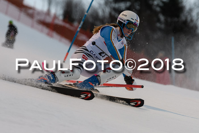 FIS NJC Alpine Kombi Damen + Herren 13.01.2018