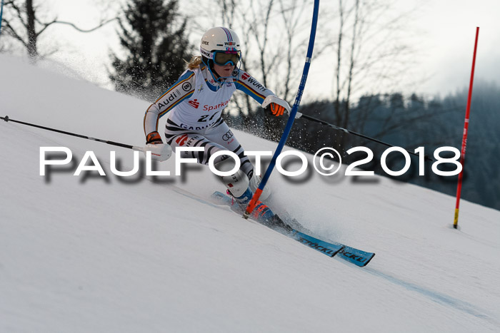 FIS NJC Alpine Kombi Damen + Herren 13.01.2018