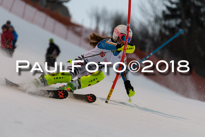FIS NJC Alpine Kombi Damen + Herren 13.01.2018