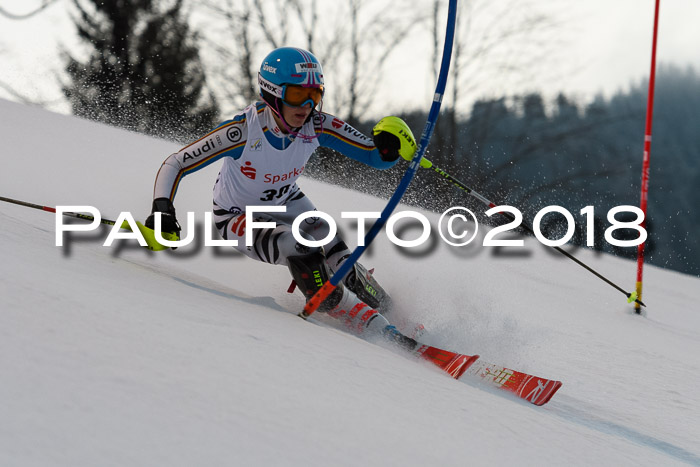 FIS NJC Alpine Kombi Damen + Herren 13.01.2018