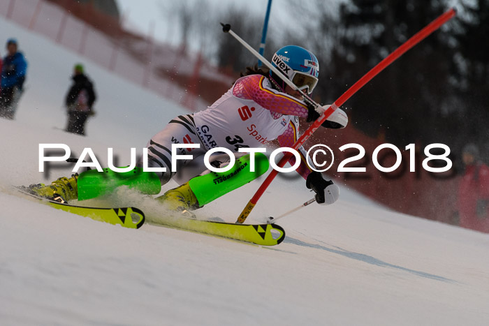 FIS NJC Alpine Kombi Damen + Herren 13.01.2018