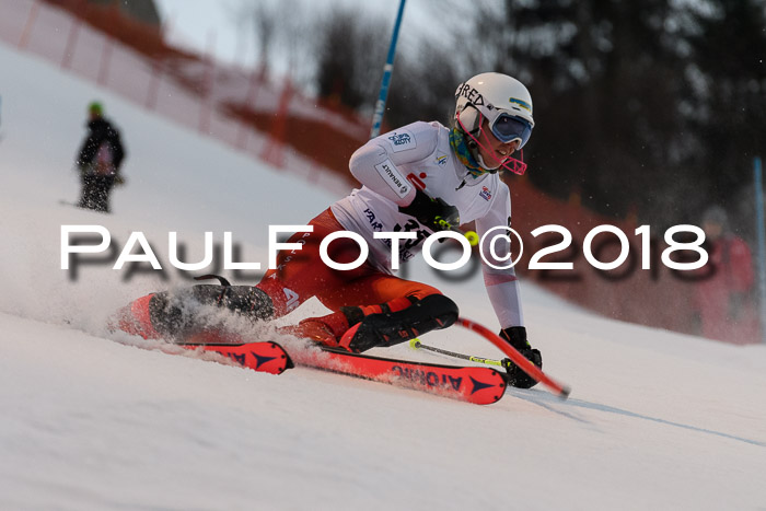 FIS NJC Alpine Kombi Damen + Herren 13.01.2018