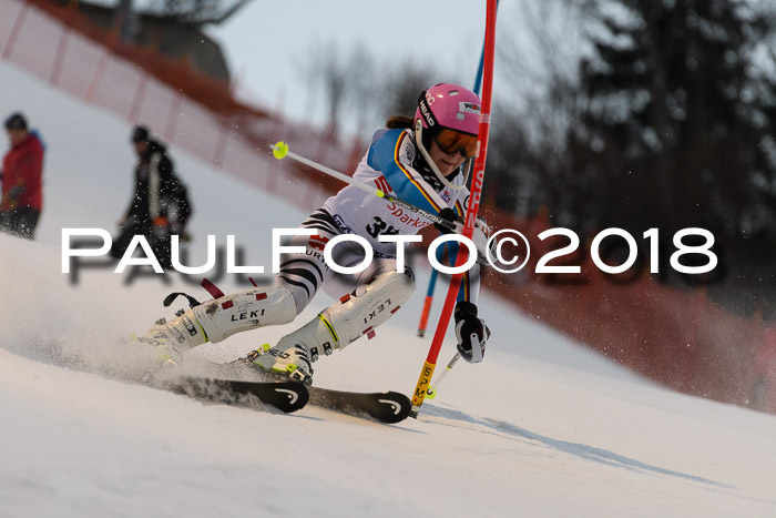 FIS NJC Alpine Kombi Damen + Herren 13.01.2018