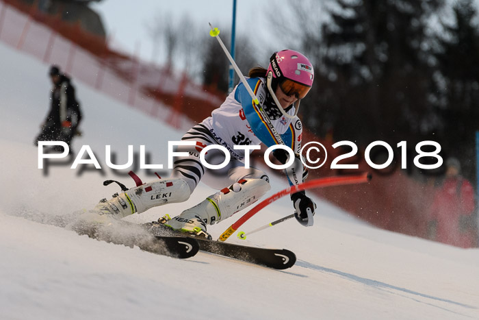 FIS NJC Alpine Kombi Damen + Herren 13.01.2018
