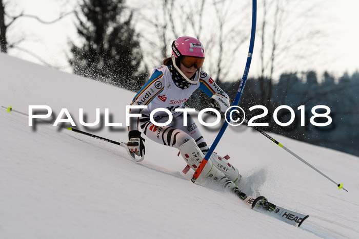 FIS NJC Alpine Kombi Damen + Herren 13.01.2018
