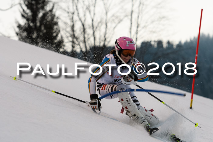 FIS NJC Alpine Kombi Damen + Herren 13.01.2018